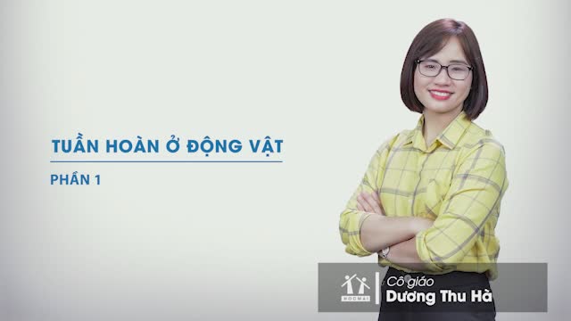 Tuần hoàn ở động vật (Phần 1) (Sinh học 11) - HOCMAI